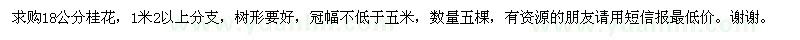 求購(gòu)18公分桂花