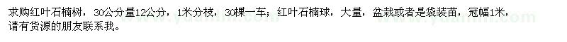 求購紅葉石楠樹、紅葉石楠球