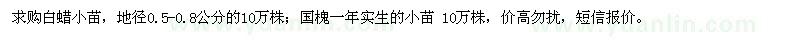 求購白蠟小苗、國槐小苗