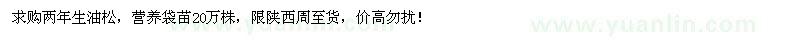 求購油松