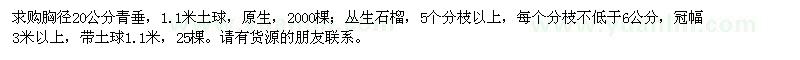 求購青垂、叢生石榴