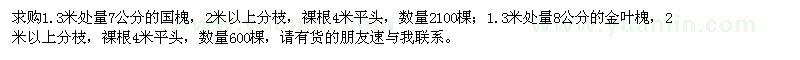 求購國槐、金葉槐