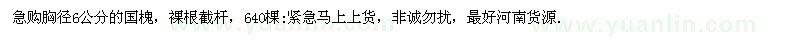 求購(gòu)胸徑6公分的國(guó)槐