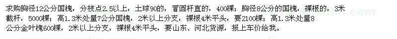 求購(gòu)7、8、12公分國(guó)槐、8公分金葉槐