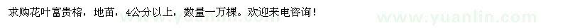 求購4公分以上花葉富貴榕
