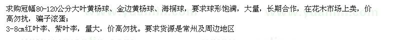 求購大葉黃楊球、金邊黃楊球、海桐球
