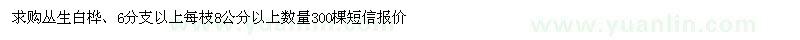 求購叢生白樺