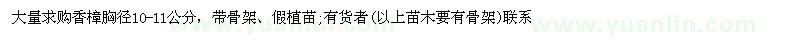 求購(gòu)胸徑10-11公分香樟