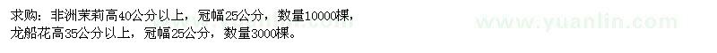 求購(gòu)非洲茉莉種苗、龍船花