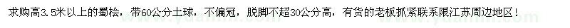 求購(gòu)高3.5米以上蜀檜