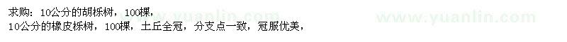 求購10公分胡櫟樹、橡皮櫟樹 