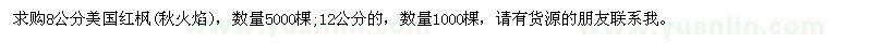 求購8公分美國紅楓