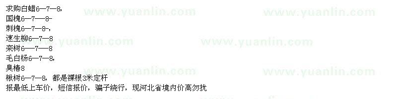求購白蠟、國槐、刺槐