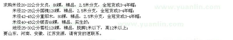 求購女貞、國槐、重陽木、銀杏、雪松