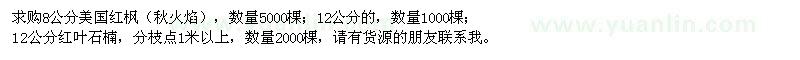 求購美國紅楓、紅葉石楠