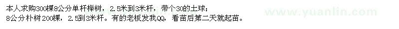 求購8公分單桿櫸樹、樸樹