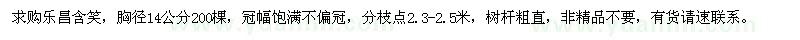 求購(gòu)胸徑14公分樂(lè)昌含笑