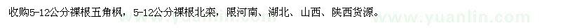 求購(gòu)裸根五角楓、裸根北欒
