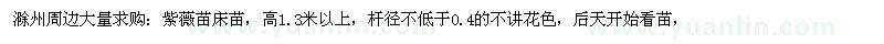 求購高1.3米以上紫薇苗