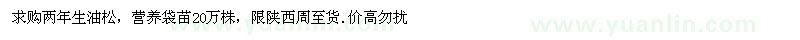 求購兩年生油松