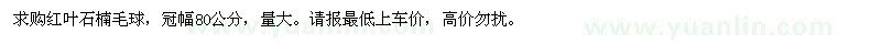 求購冠幅80公分紅葉石楠毛球