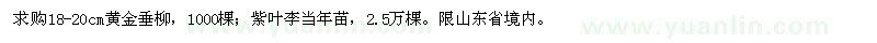 求購18-20公分黃金垂柳、紫葉李當年苗