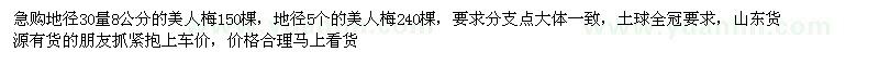求購(gòu)地徑30量8公分美人梅 