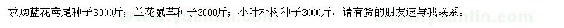 求購藍花鳶尾種子、蘭花鼠草種子、小葉樸樹種子