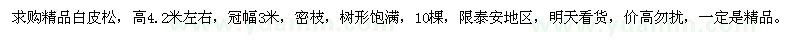 求購(gòu)高4.2米左右精品白皮松