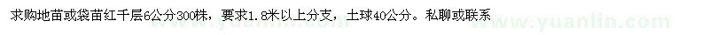 求購(gòu)6公分紅千層地苗或袋苗