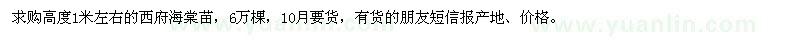 求購高1米左右西府海棠苗