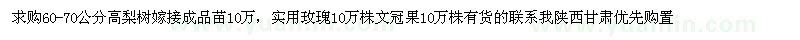 求購60-70公分高梨樹嫁接成品苗