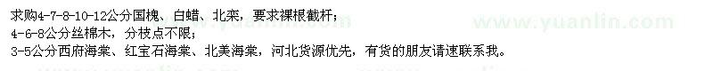 求購國槐、白蠟、北欒、絲棉木、西府海棠等