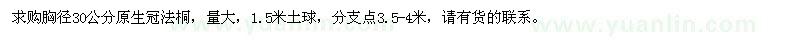 求購(gòu)胸徑30公分原生冠法桐
