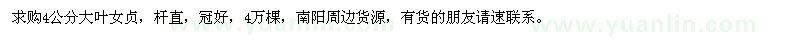 求購(gòu)4公分大葉女貞