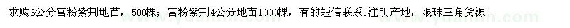 求購6公分宮粉紫荊