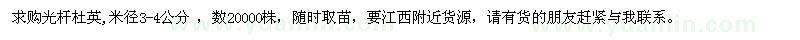 求購米徑3-4公分光桿杜英