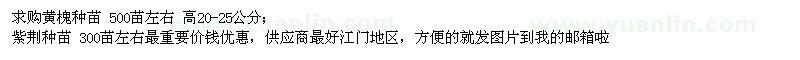 求購黃槐、紫荊