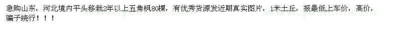求購平頭移栽2年以上五角楓