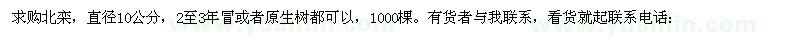 求購(gòu)北方欒樹(shù)