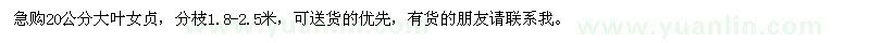 求購20公分大葉女貞