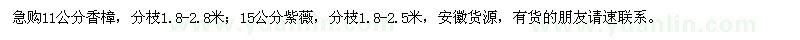 求購(gòu)11公分香樟、15公分紫薇