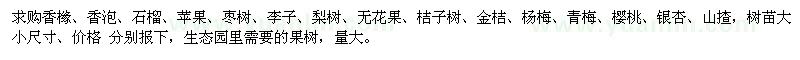 求購(gòu)香櫞、香泡、石榴