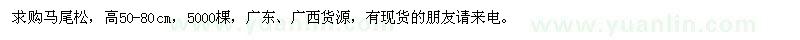求購高50-80公分馬尾松