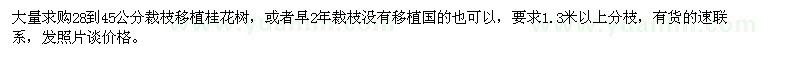 求購28-45公分裁枝移植桂花樹