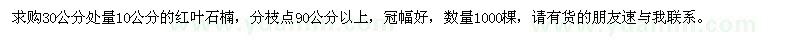 求購30公分處量10公分紅葉石楠