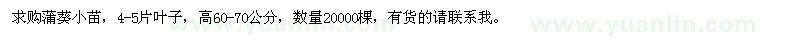 求購高60-70公分蒲葵小苗
