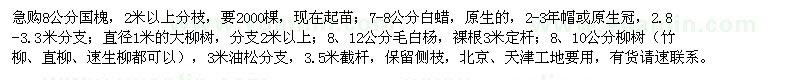 求購國槐、白蠟、毛白楊、柳樹