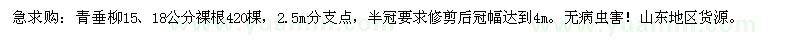 求購(gòu)15、18公分青垂柳