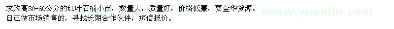 求購高30-60公分紅葉石楠小苗